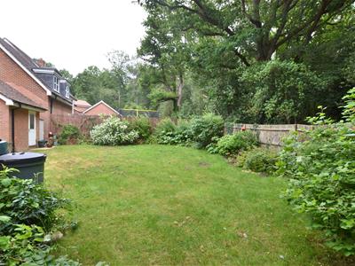 Picture 31